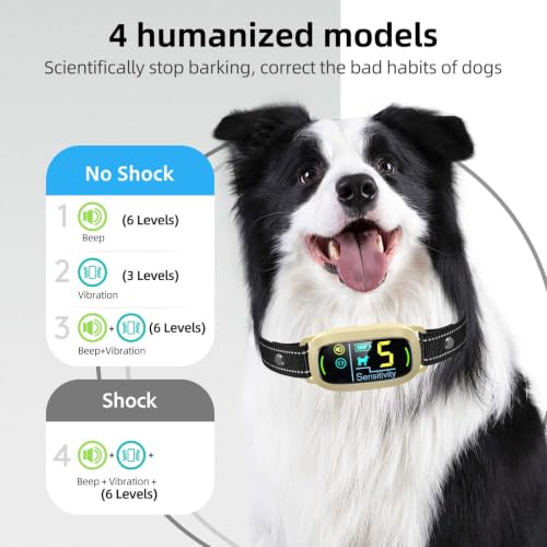 Dog Bark Collar (Yellow)
