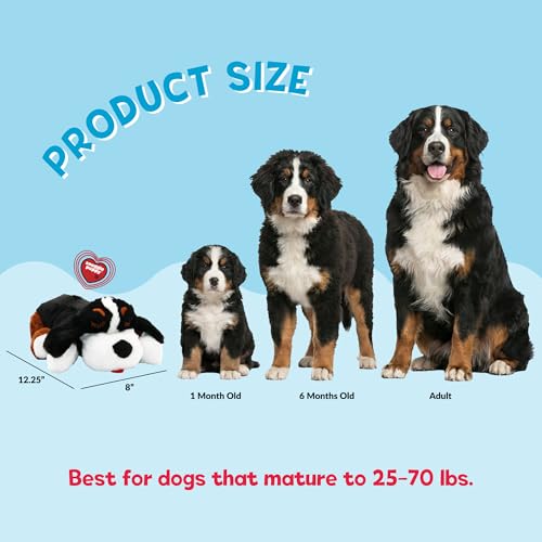 Snuggle Puppy Heartbeat Toy (Bernese / 1 Count (Pack of 1))