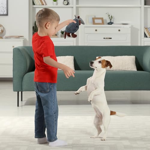 Armadillo Squeaky Puppy Dog Toys for Small Medium Dogs (8 IN / Brown and Bronze)