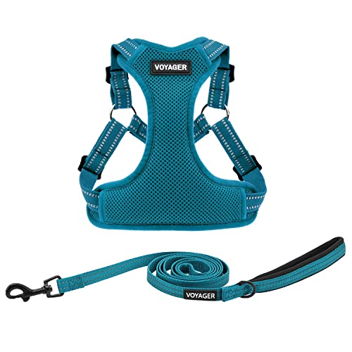 Voyager Adjustable Step (Harness Leash Set (Turquoise) / S)