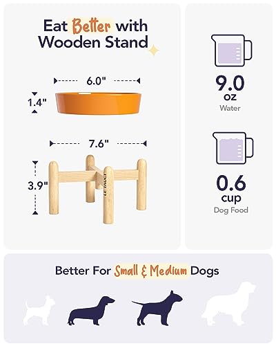 Ceramic Slow Feed Dog Bowls (Sun Orange+Stand / S-0.6 Cups)