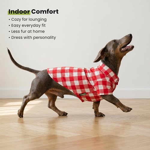 Gingham Plaid Dog Shirt (Medium / Red)