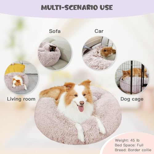 Covered Small Dog Bed with Blanket Attached Calming Burrow Beige (20.0"L x 20.0"W x 7.0"Th / Beige)