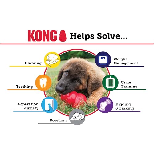 Classic Stuffable Dog Toy (Medium (Pack of 1))