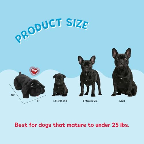 Snuggle Puppy Junior Heartbeat Toy (Black)