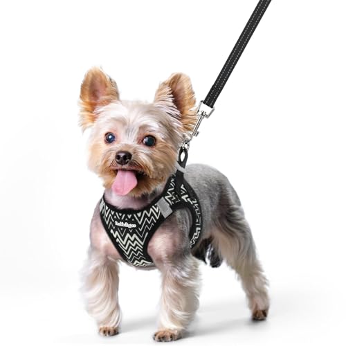 Dog Harness Small Sized and Leash Set (Black Zigzag / Xs (chest: 13.3 - 15.5"))