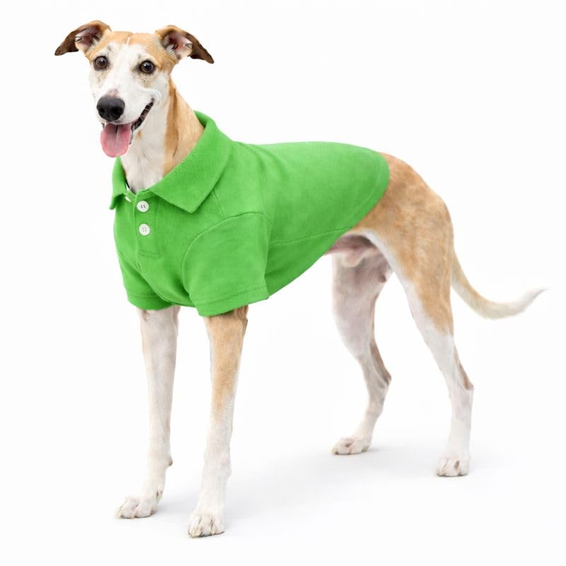 Basic Dog Polo Shirts Premium Cotton (XXL (-55lbs) / Green)