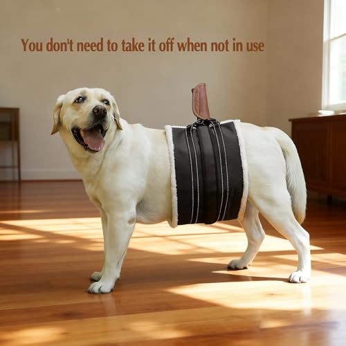 Dog Lift Harness (Black / M - Betwwen-Leg Spacing: 7.9"-10”)