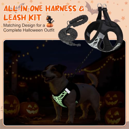 Halloween Dog Harness Medium Sized and Leash Set (Medium(Chest Girth 16" - 18") / Halloween Black)
