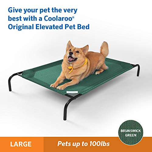 Gale Pacific Coolaroo The Original Cooling Elevated Dog Bed (Large Dog Bed / Brunswick Green)