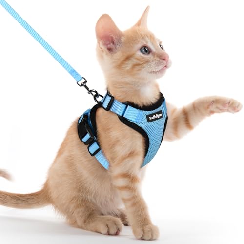 Cat Harness and Leash Set (Xxs / Light Blue)