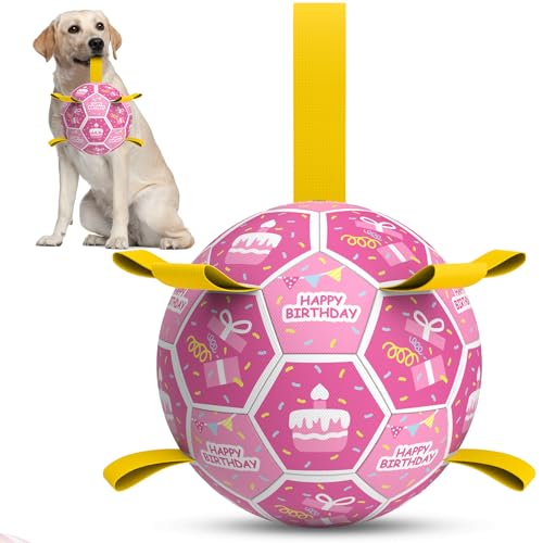 Dog Birthday Toys (Birthday / 8 Inch)