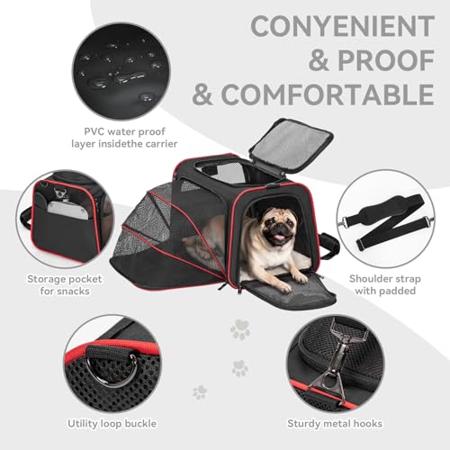 Large Expandable Cat Carrier for Travel (19"L x 12"W x 12"H / Black)