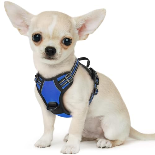 Dog Harness for Small Dogs (X-Small / Blue)
