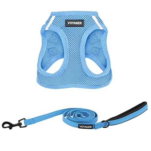Voyager Step in Air All Weather Mesh Harness and Reflective Dog 5ft Leash Combo with Neoprene Handle (Baby Blue / S (Chest: 14.5 - 16"))