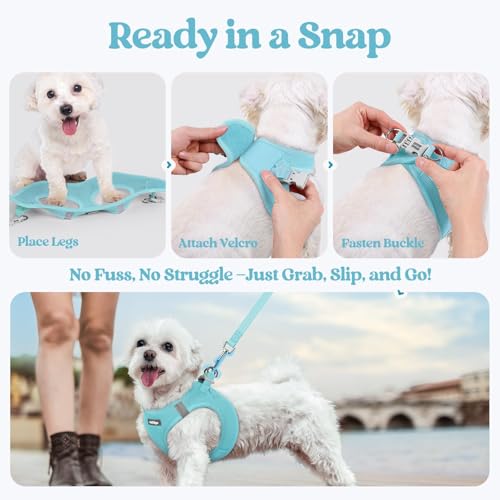 Dog Harness Small Sized and Leash Set (Mint Blue / Xs (chest: 13.3 - 15.5"))