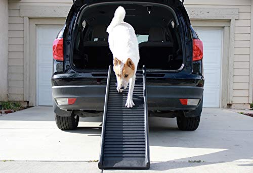 61" Folding Pet Ramp (Pack of 1 / Pet Ramp)