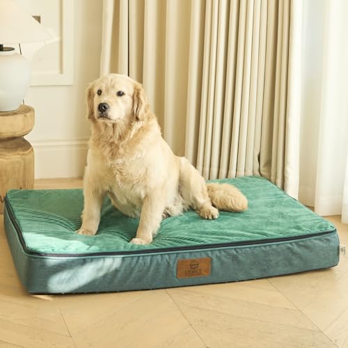Orthopedic Memory Foam XXL Dog Bed (48.0"L x 30.0"W x 6.0"Th / Forest Green)