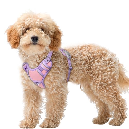 Dog Harness for Small Sized Dog No Pull Dog Vest ID Tag Pocket (Baby Pink & Violet Purple / X-Small)