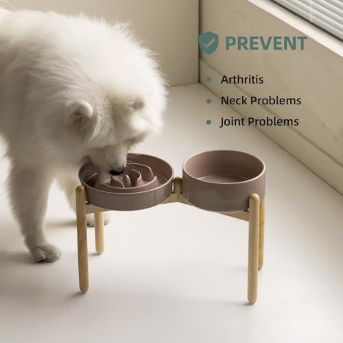 Elevated Slow Feeder Dog Bowls (Brown Coffee)