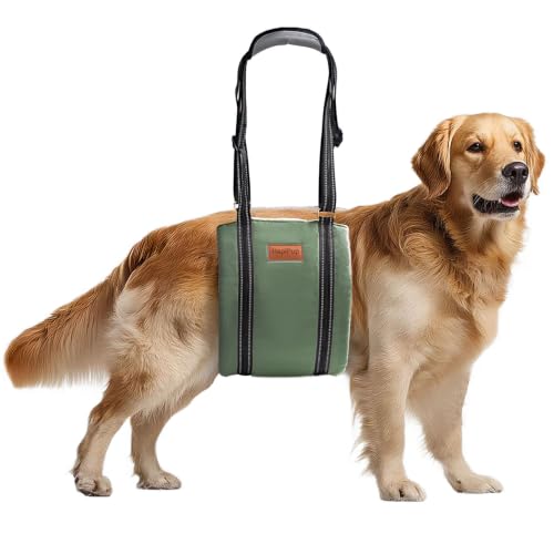 Dog Lift Harness for Large Dogs (X-Large (Pack of 1) / Army green)