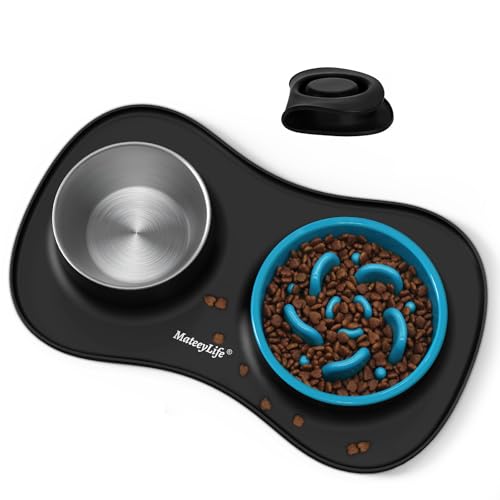 Dog Food and Water Bowl Set 3 in 1 (Large / Black)