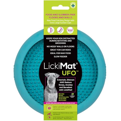 UFO Pet Feeder (Turquoise)