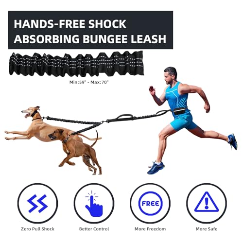Hands Free Double Dog Leash with Pouch (Black / Medium/Large)
