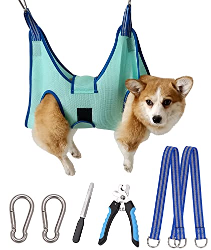 Dog Grooming Hammock (Large 42 LB Max/Turquoise)