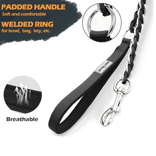 Dog Leash Chew Proof (Black / 4FT(80-150lb))