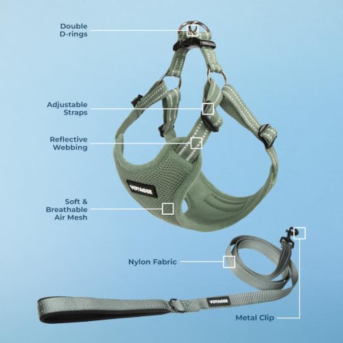 Voyager Adjustable Step (Harness Leash Set (Moss Green) / XS)