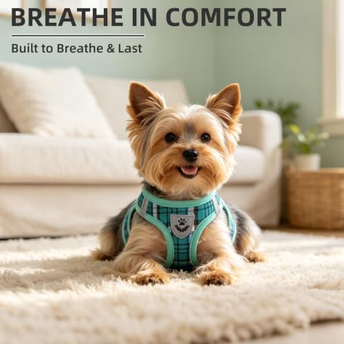 Dog Harness Collar and Leash Set No Pull for Small Medium Sized (Lake Green / XS (CHEST 13"-14.5"))