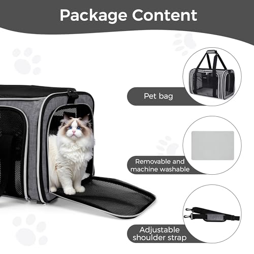 Pet Travel Carrier (Grey / 17.0"L x 11.0"W x 12.0"H)
