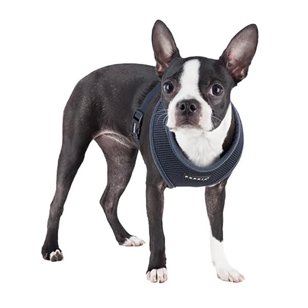 Authentic Puppia Soft Harness (Grey / X-Small)