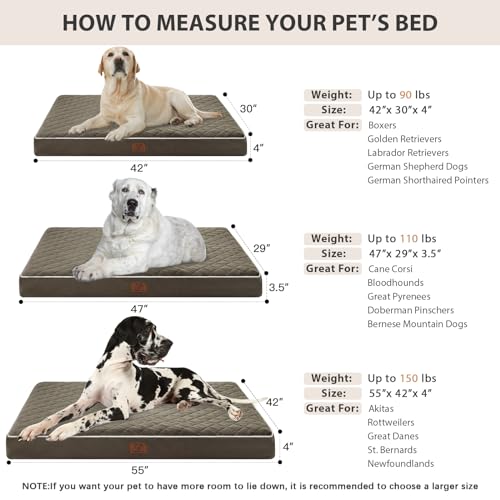 Orthopedic XXL Dog Beds for Large Senior Dog Bed Comfy Sleeping (Dark Green / 55"L x 42"W x 4"Th)