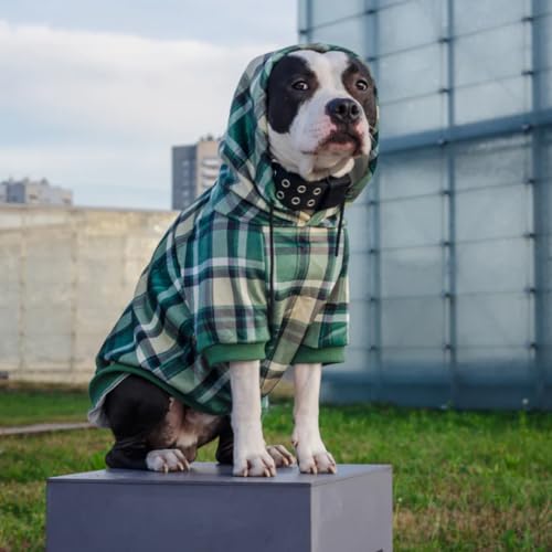Dog Hoodie Buttery (Green Plaid / Large)