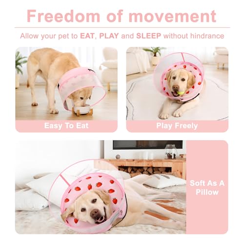 Inflatable Dog Cone Collar for Large Medium Small Dogs (Strawberry Print / Medium)