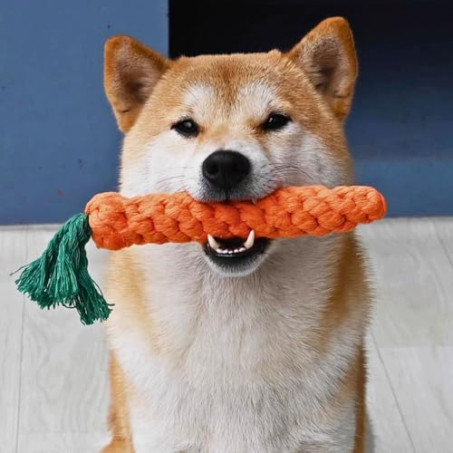 3 PCS Carrot Dog Rope Toys for Dogs (3-Pack)