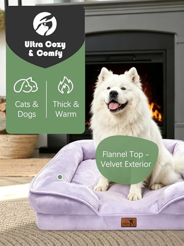 Orthopedic Dog Bed with Sides (38.0"L x 28.0"W x 6.5"Th / Purple)