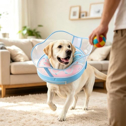 Inflatable Dog Cone Collar with Removable Clear Protective Shield (BluePink / L (Neck 12.5"-15"))