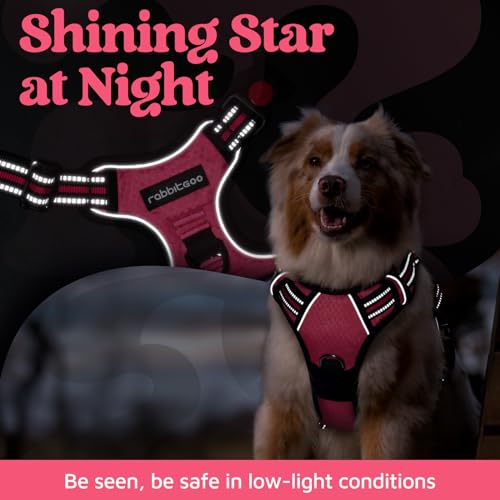 Dog Harness Small Sized (Pink / Small)