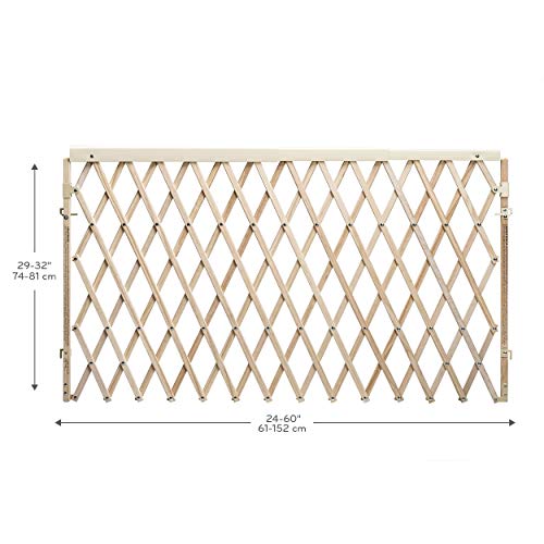 Expansion Walk (Natural Wood)
