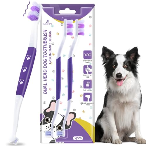 Dog Toothbrush (Purple / 1 Count (Pack of 2))