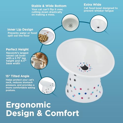Necoichi Ceramic Elevated Food Bowl (Colorful Dots / Large Extra Wide Tilted)