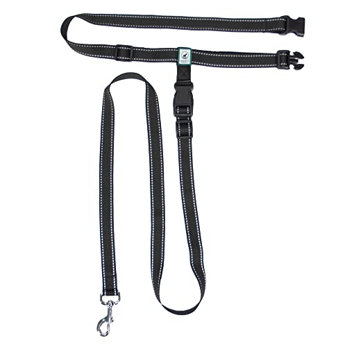 Hands Free Dog Leash - PetSolution