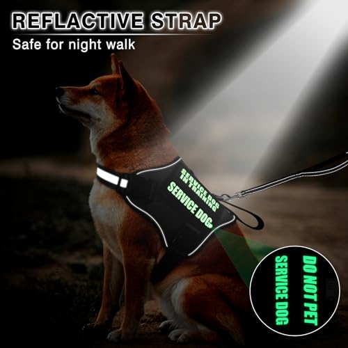 Service Dog Vest Harness and Leash Set+10 Patches (Extra-large / Black)