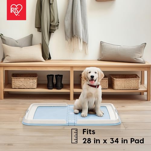 Pee Pad Holder (Blue / 28" x 34")