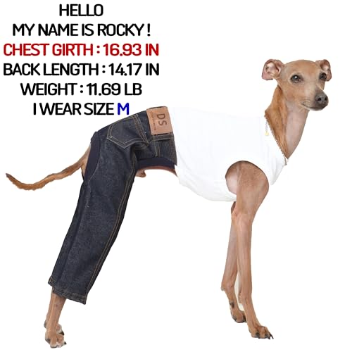 D Doggy Star Italian Greyhound Clothes Sleeveless Jeans Onesie Outfit Whippet for Dog Coat (L / Blue Jean)