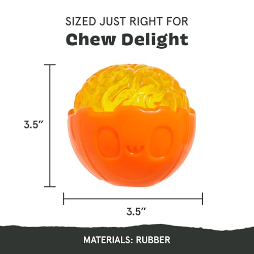 Pumpkin Prodigy Dog Toy (Medium / Pumpkin Prodigy)