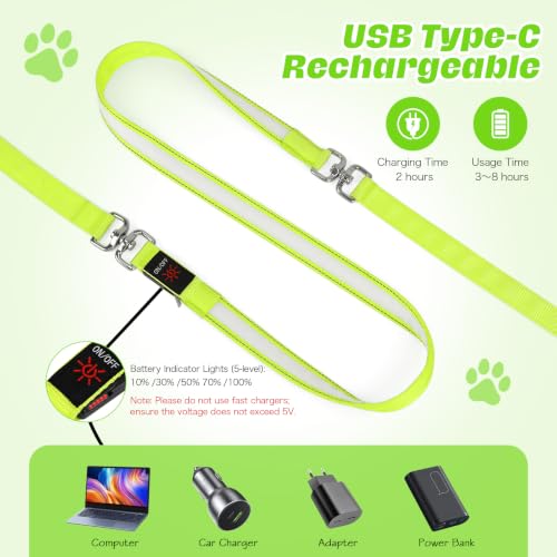 Light Up Dog Leash (Green / 6FT)